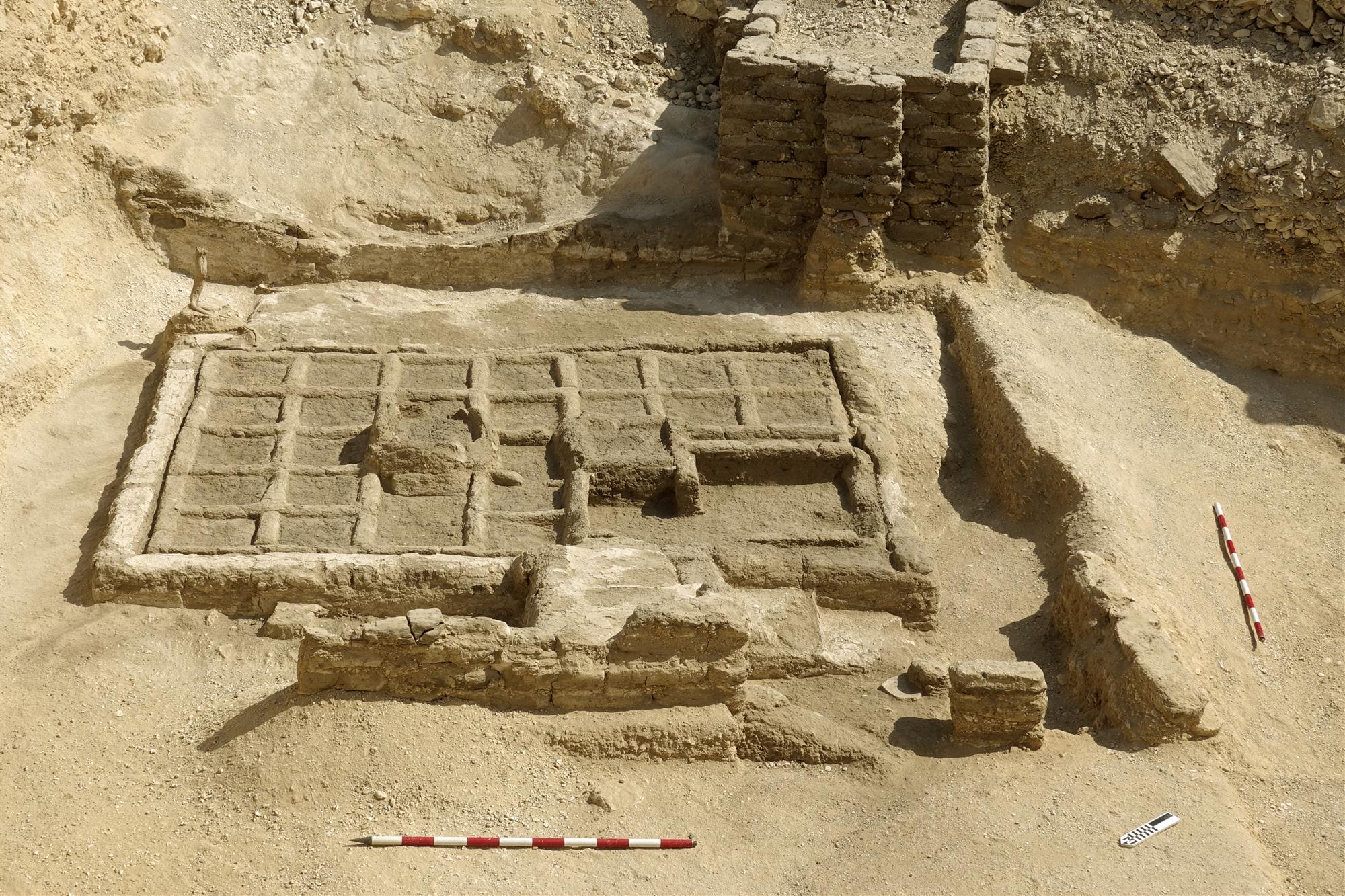 El jardín funerario hallado en Egipto conserva multitud de semillas en perfecto estado de hace 4.000 años